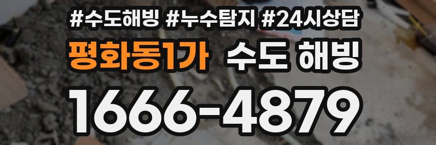 평화동1가 수도 해빙