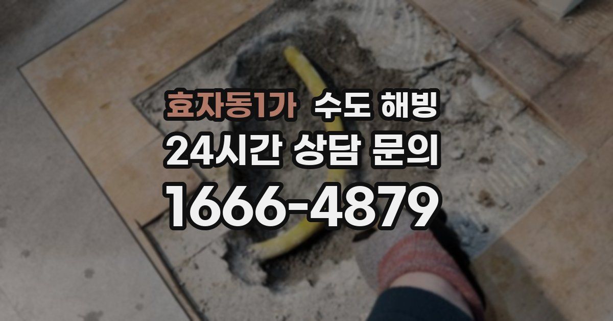효자동1가 수도 해빙