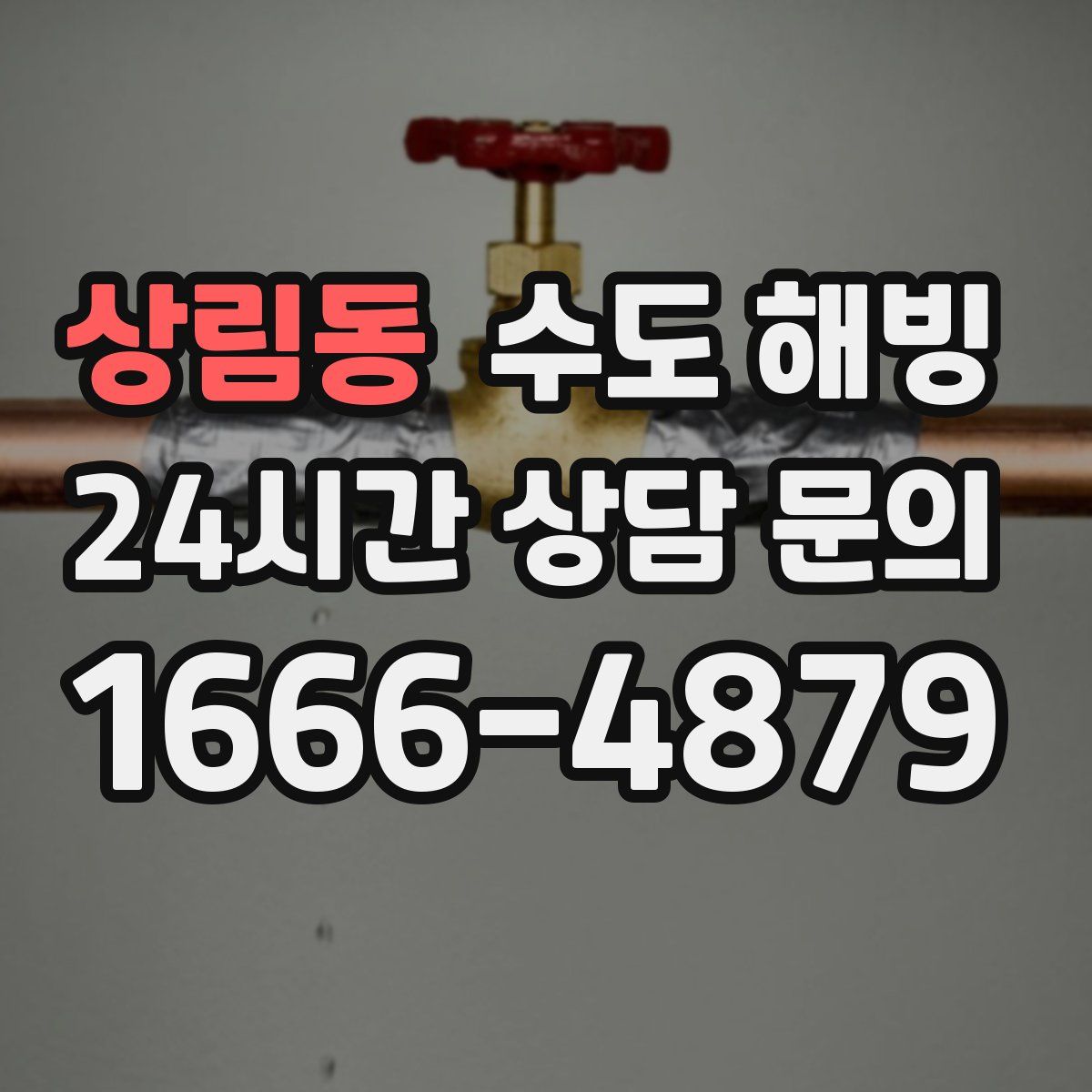 상림동 수도 해빙