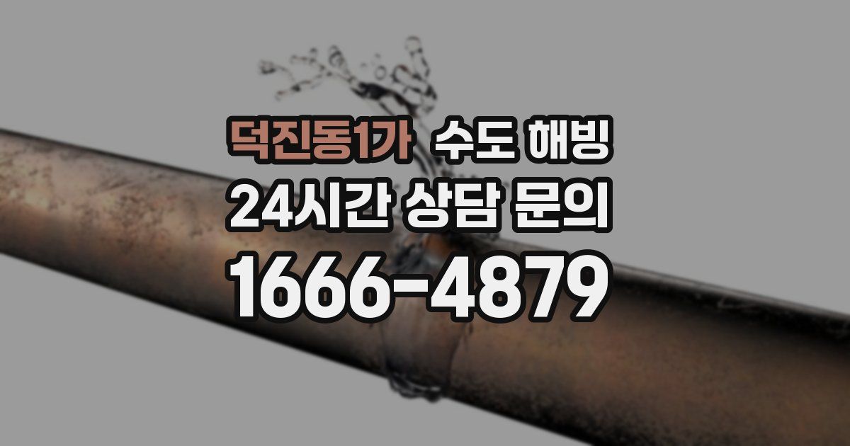 덕진동1가 수도 해빙