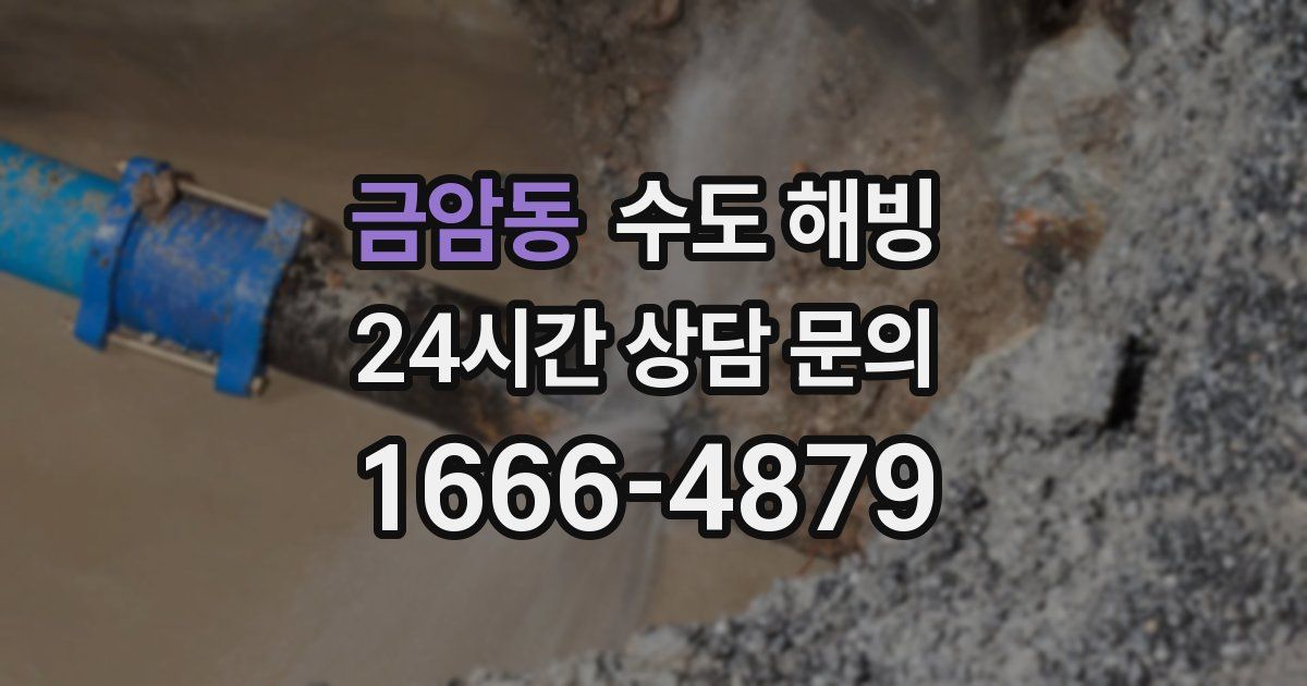 금암동 수도 해빙