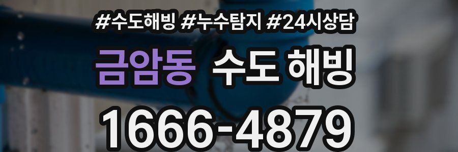 금암동 수도 해빙