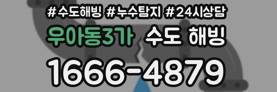 우아동3가 수도 해빙
