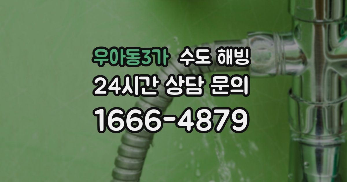 우아동3가 수도 해빙