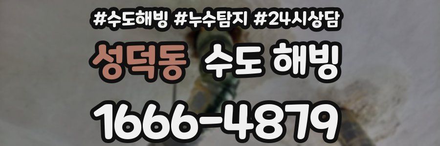성덕동 수도 해빙