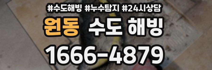 원동 수도 해빙