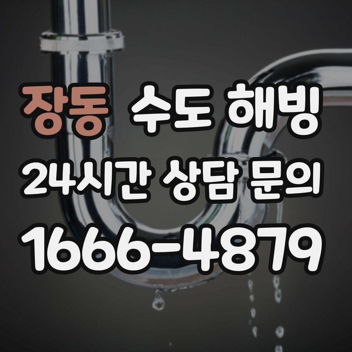 장동 수도 해빙