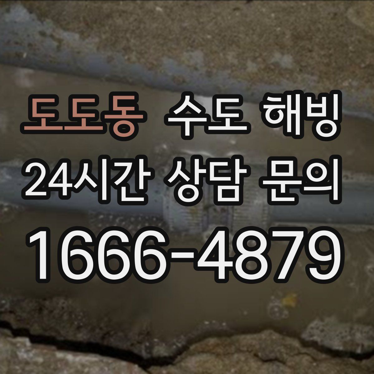 도도동 수도 해빙