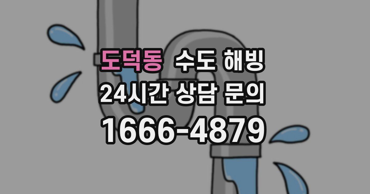 도덕동 수도 해빙