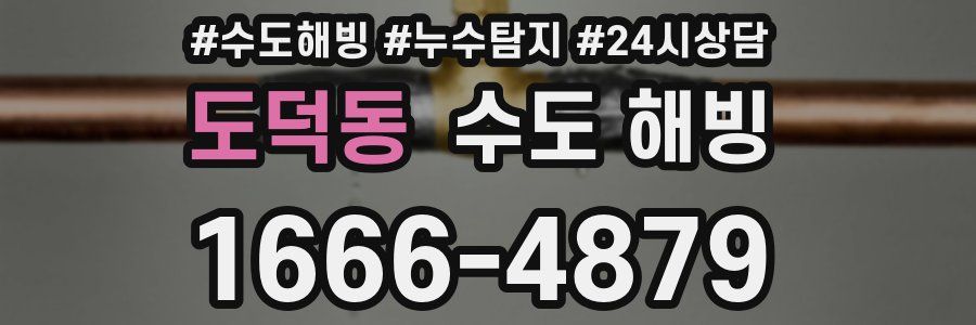 도덕동 수도 해빙