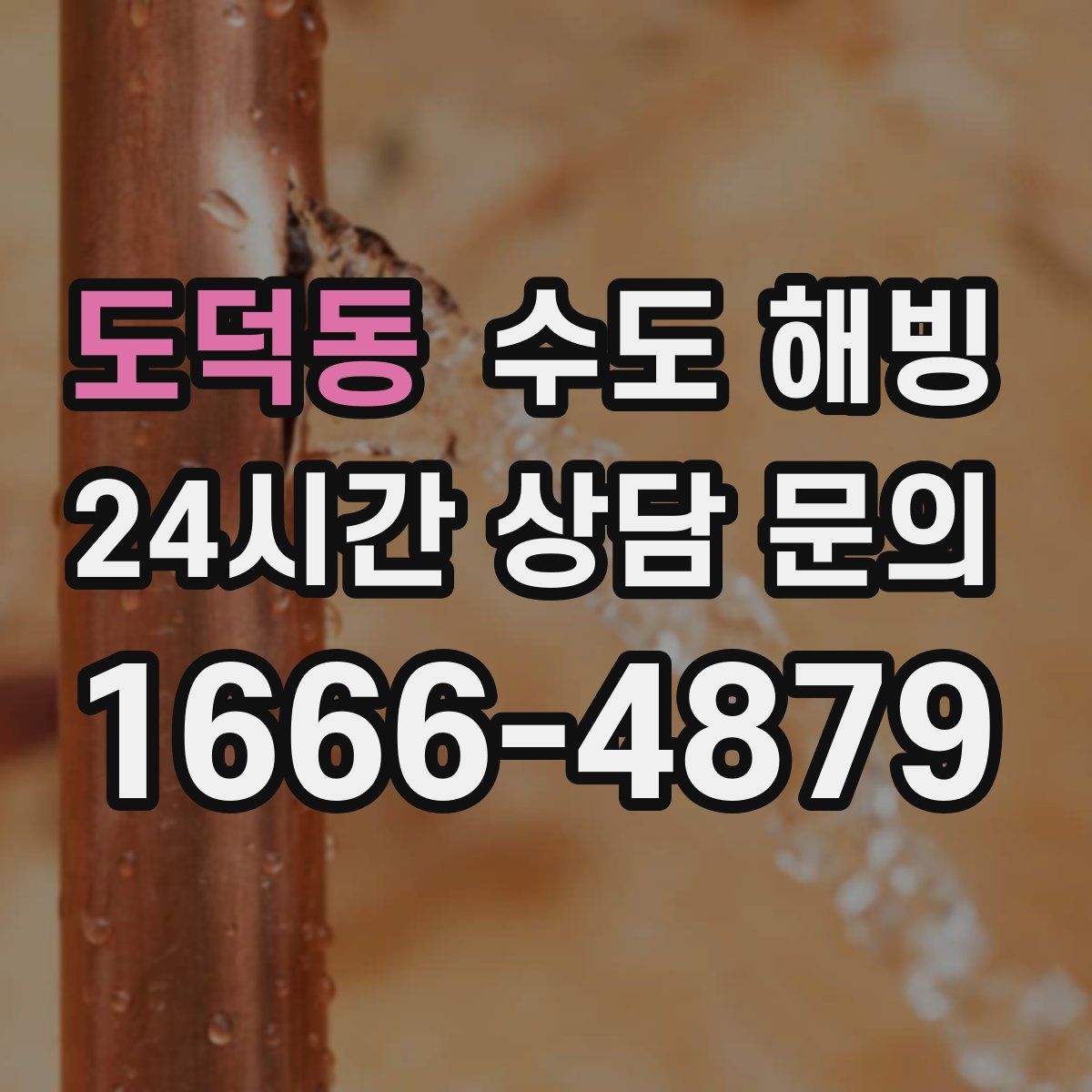 도덕동 수도 해빙