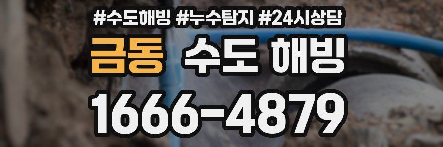 금동 수도 해빙