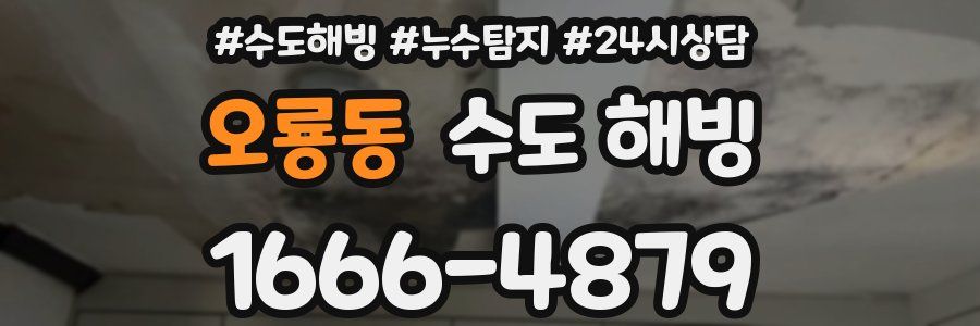 오룡동 수도 해빙