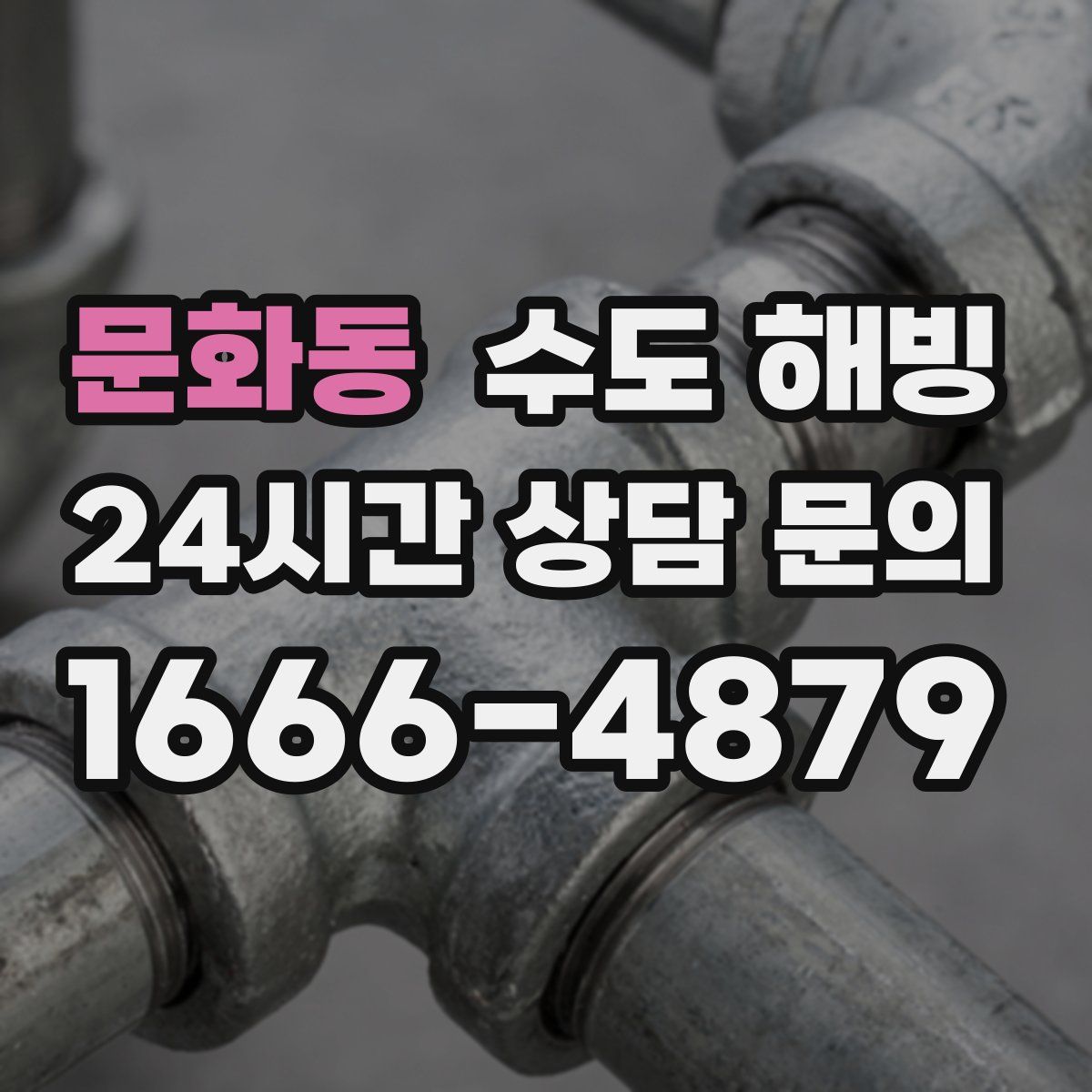 문화동 수도 해빙