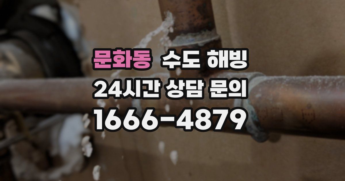 문화동 수도 해빙