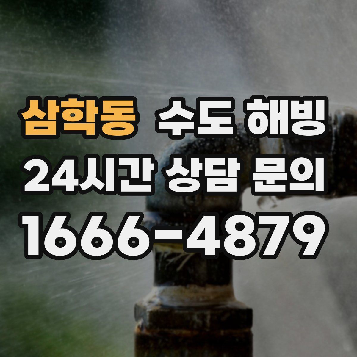 삼학동 수도 해빙