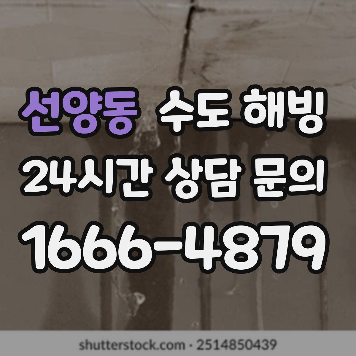 선양동 수도 해빙