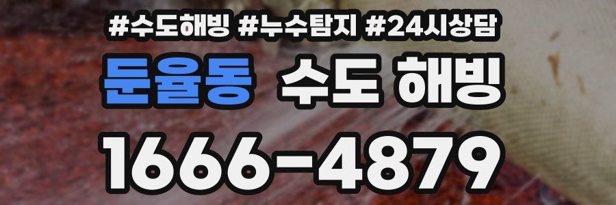 둔율동 수도 해빙