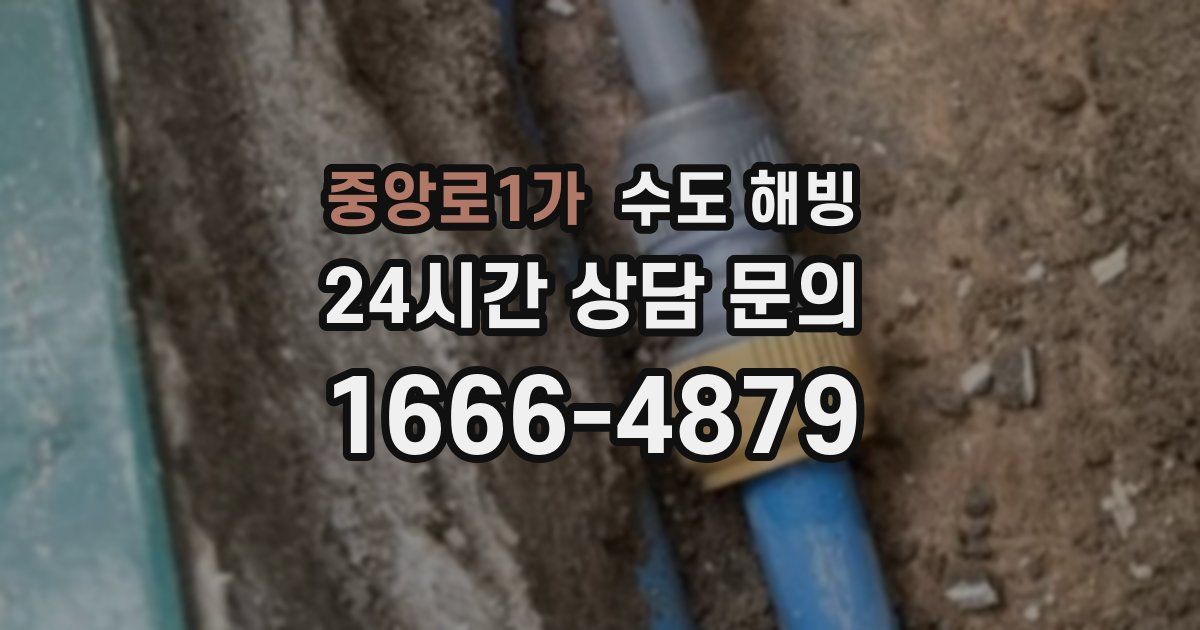 중앙로1가 수도 해빙