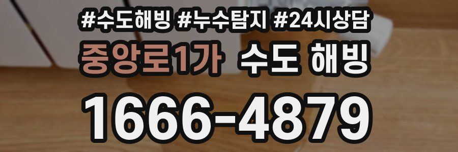 중앙로1가 수도 해빙