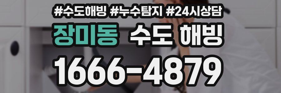 장미동 수도 해빙