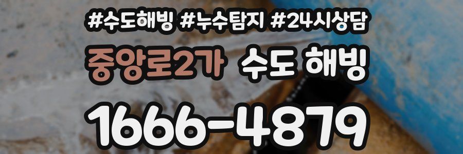 중앙로2가 수도 해빙