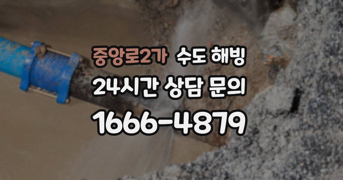 중앙로2가 수도 해빙