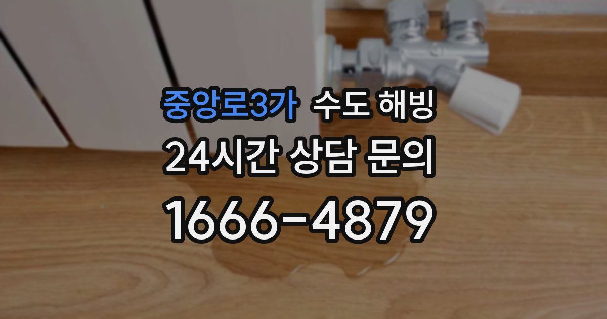 중앙로3가 수도 해빙