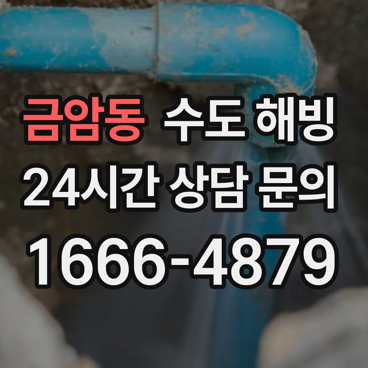 금암동 수도 해빙