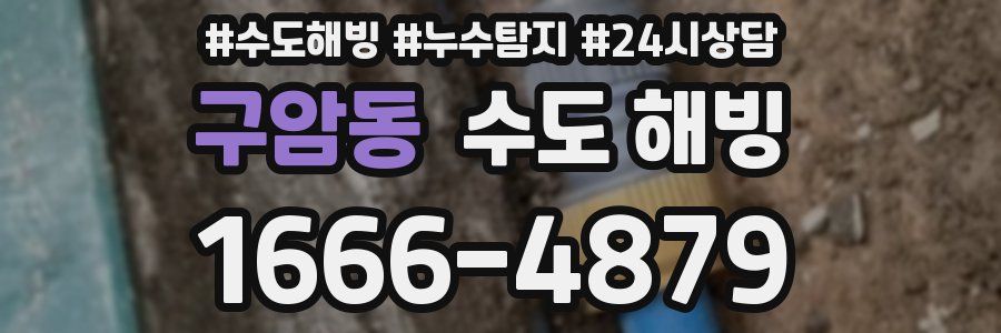 구암동 수도 해빙