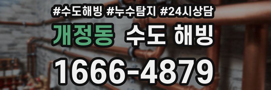 개정동 수도 해빙