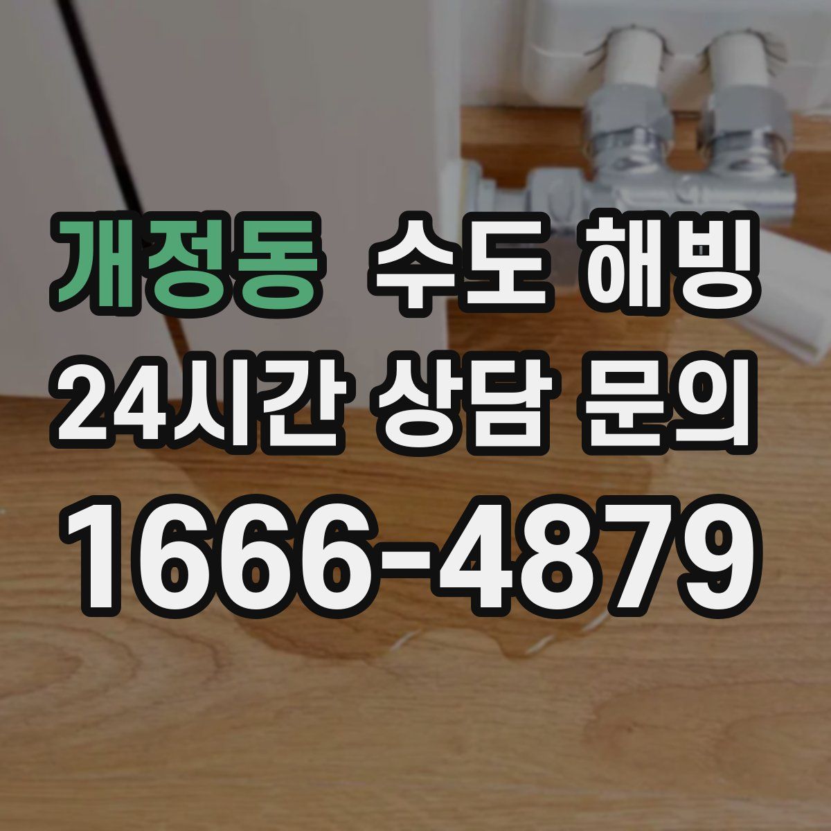 개정동 수도 해빙