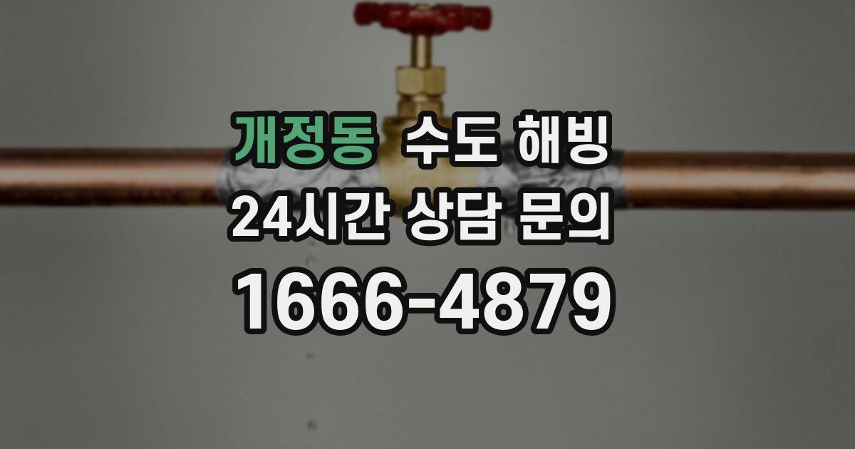 개정동 수도 해빙