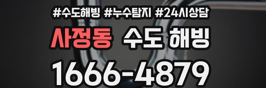 사정동 수도 해빙