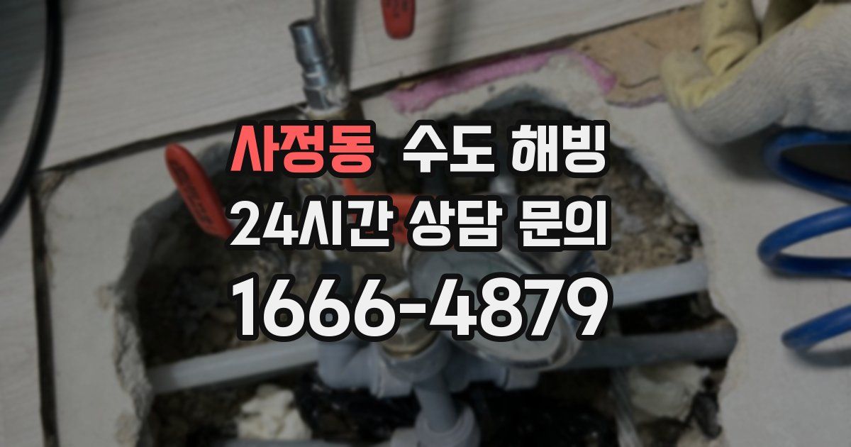 사정동 수도 해빙