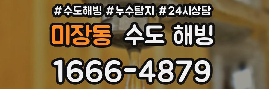 미장동 수도 해빙