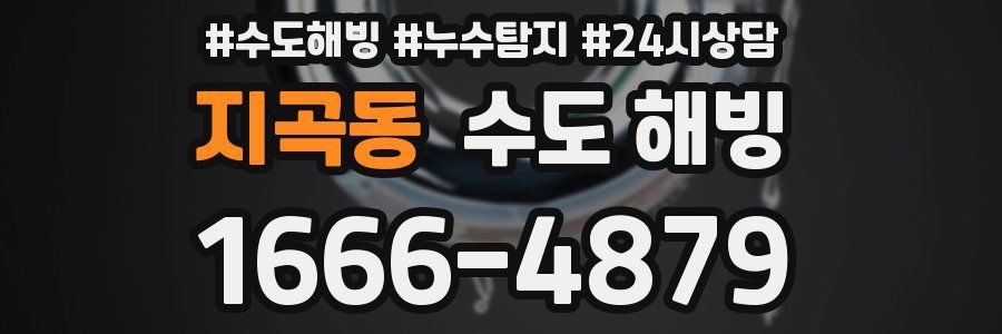 지곡동 수도 해빙