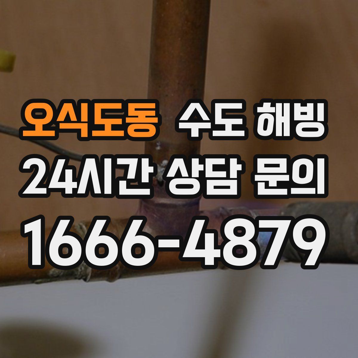 오식도동 수도 해빙