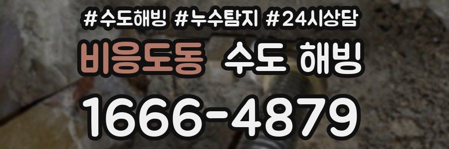 비응도동 수도 해빙