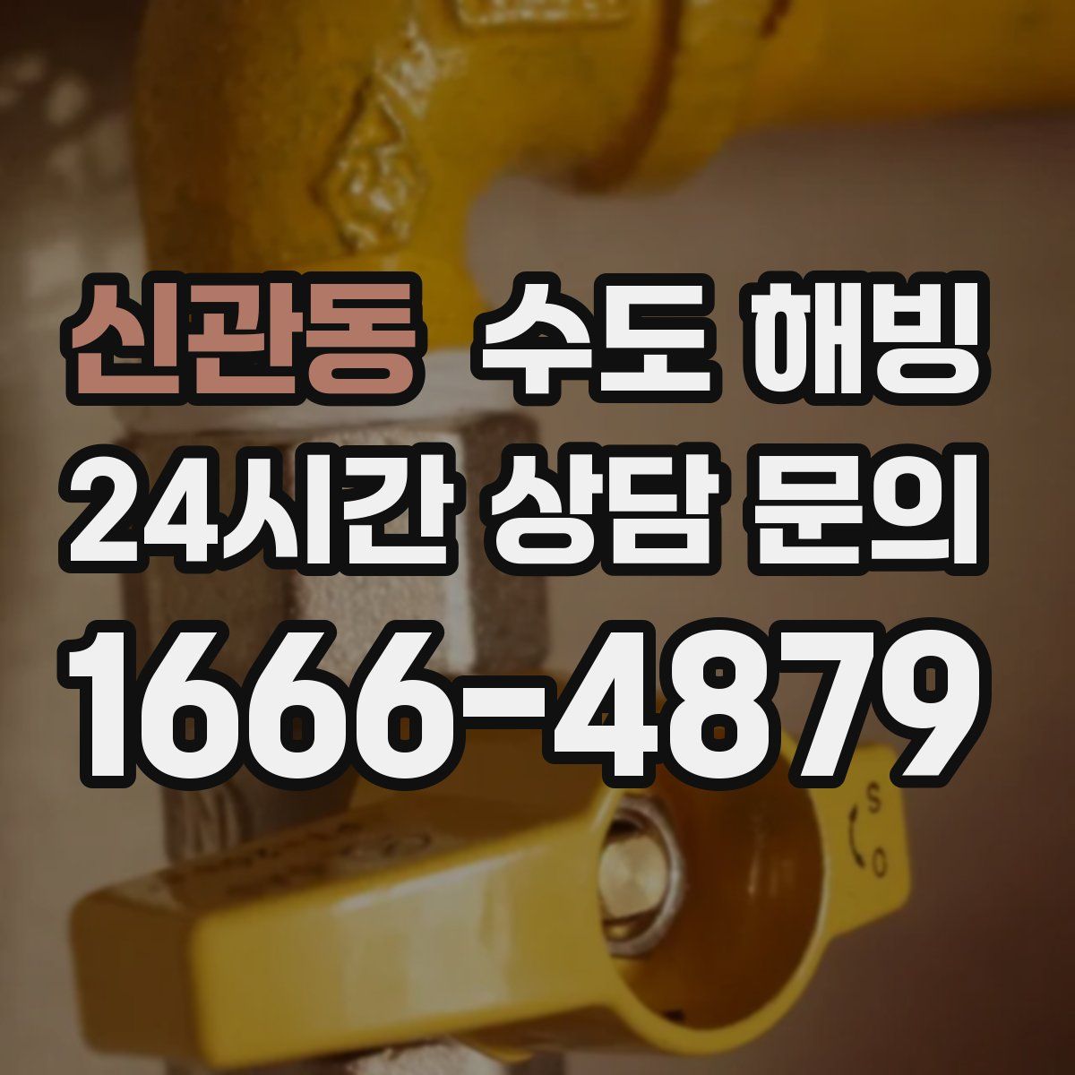 신관동 수도 해빙