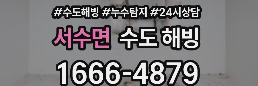 서수면 수도 해빙