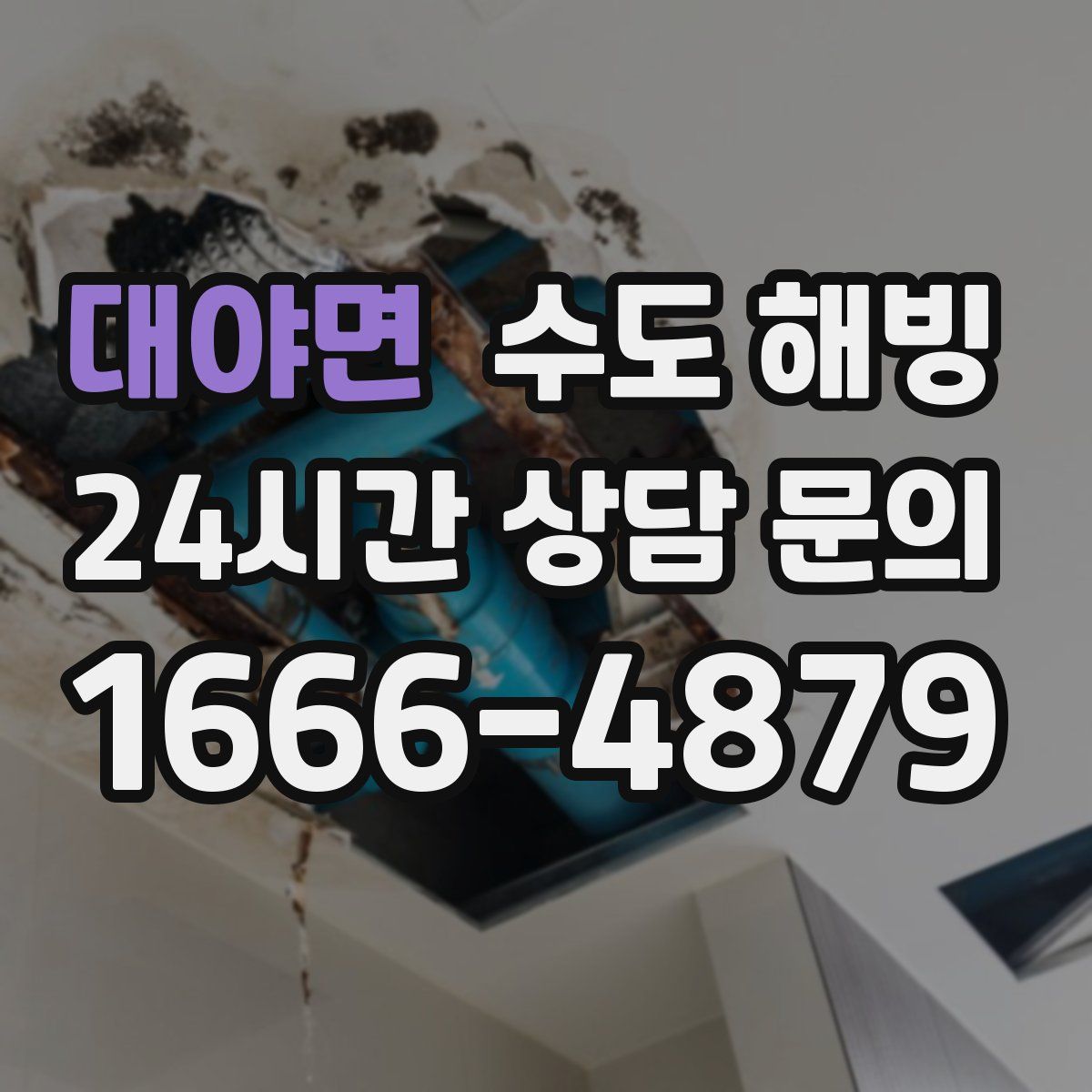 대야면 수도 해빙