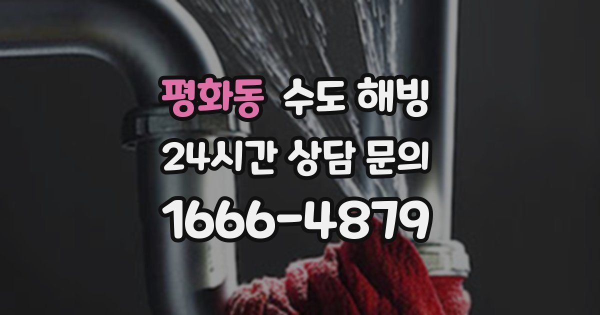 평화동 수도 해빙