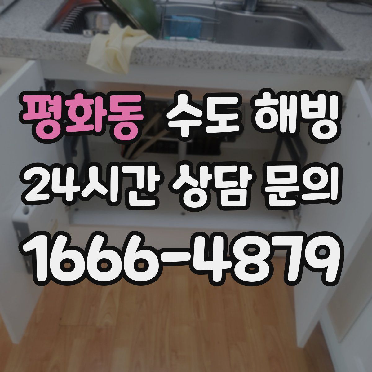 평화동 수도 해빙