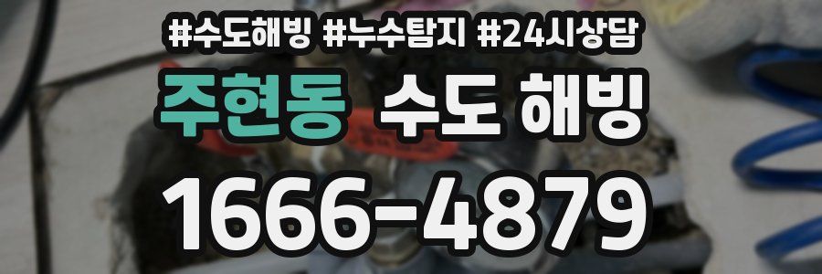 주현동 수도 해빙