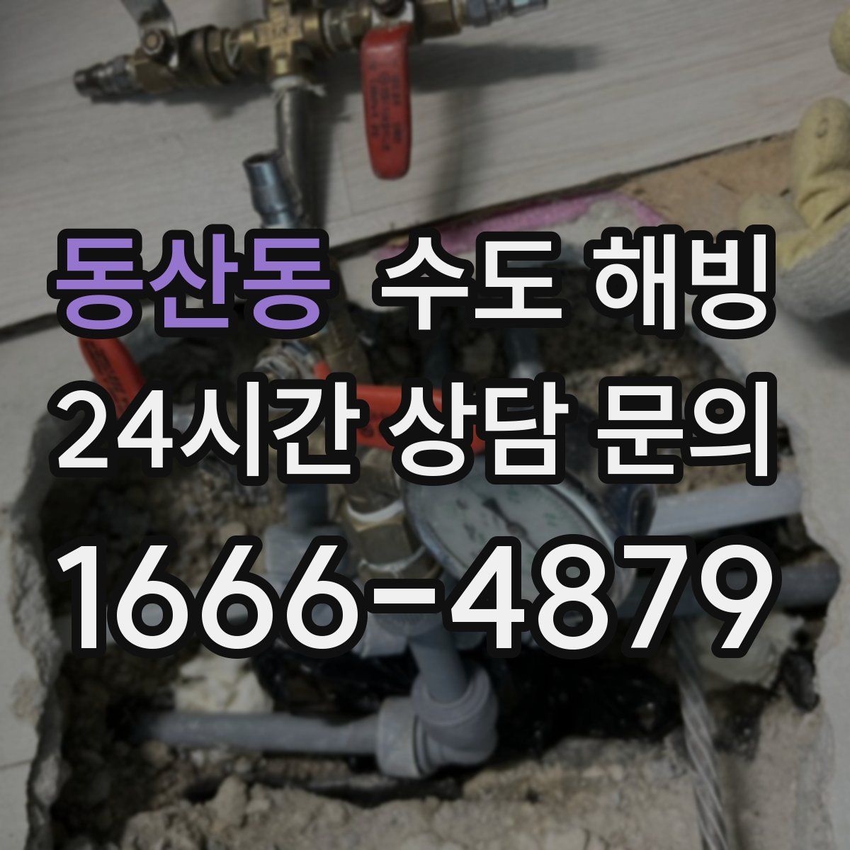 동산동 수도 해빙