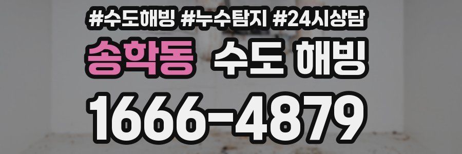 송학동 수도 해빙