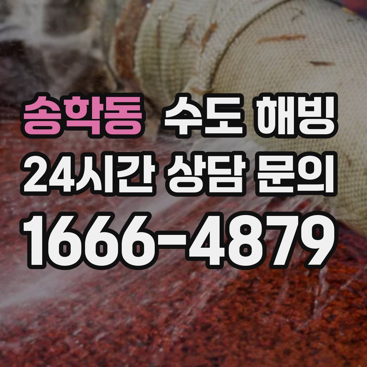 송학동 수도 해빙