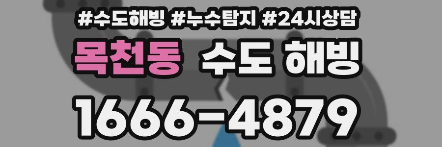 목천동 수도 해빙