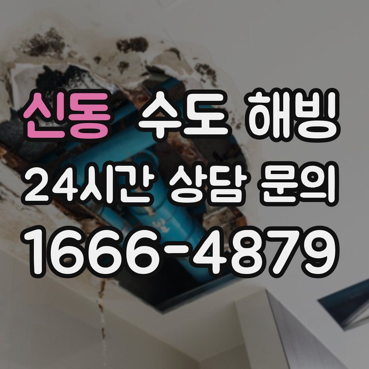 신동 수도 해빙